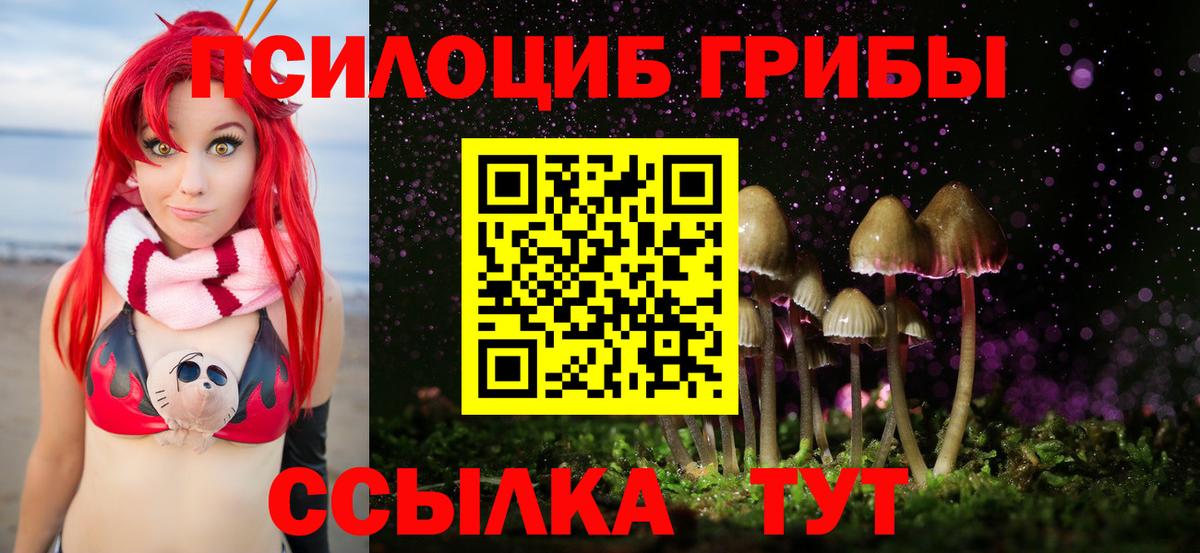 Галлюциногенные грибы Psilocybe  Вход с VPN  Псилоцибиновые грибы Magic Shrooms  Сертолово 